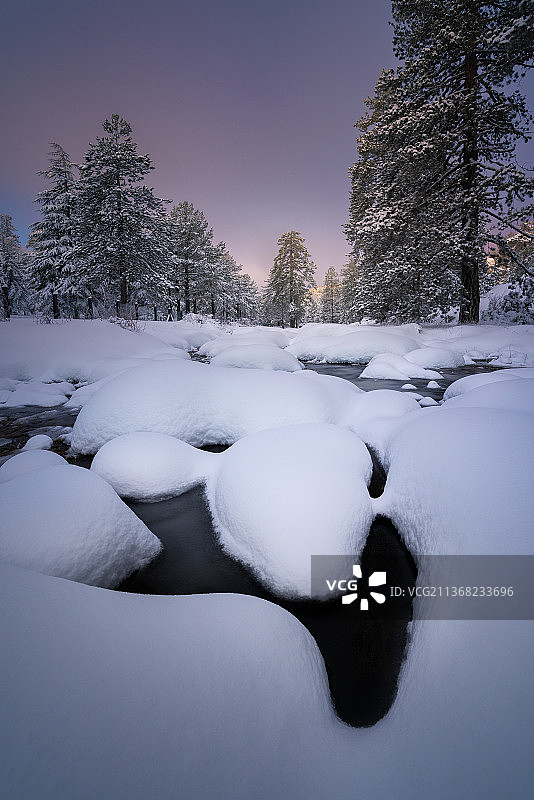 塞浦路斯特罗多斯雪景，雪原树木图片素材