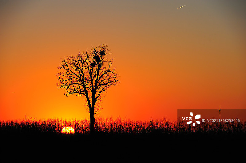 中国天津武清日出图片素材