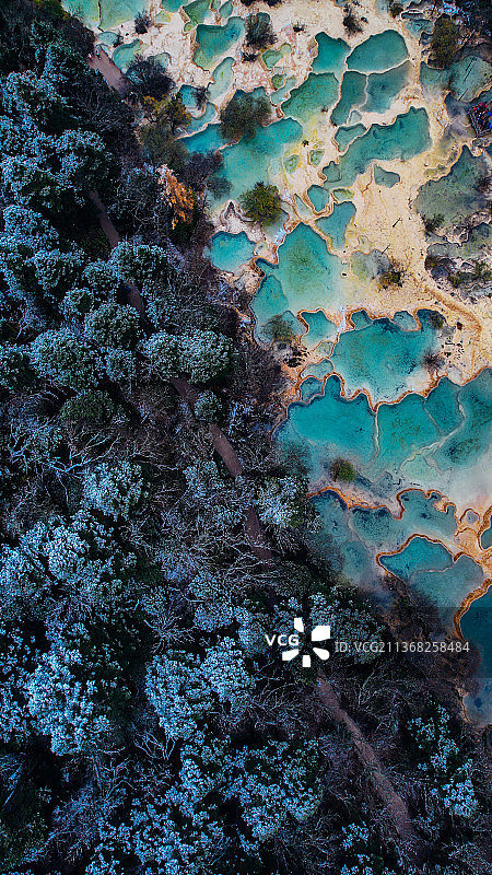 初雪黄龙图片素材