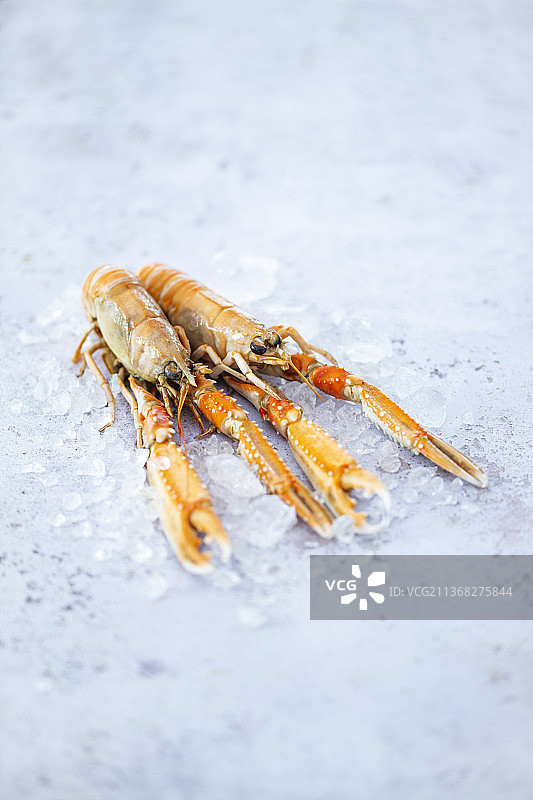碎冰上的新鲜海螯虾图片素材
