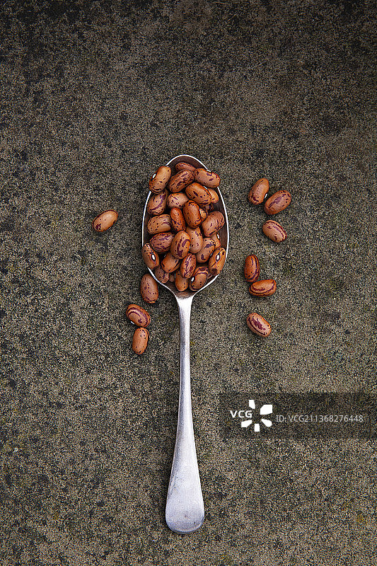 勺子上的博洛蒂豆图片素材