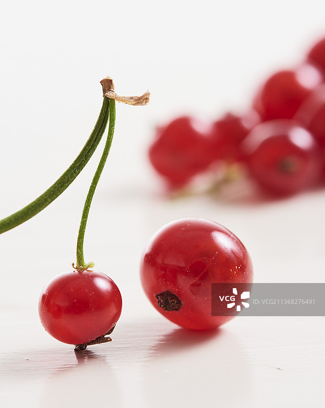 红醋栗特写图片素材