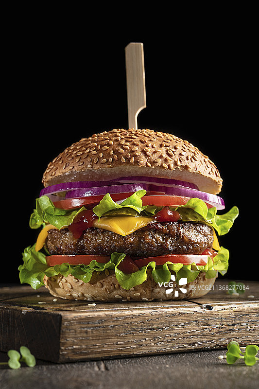 奶酪红洋葱沙拉汉堡图片素材