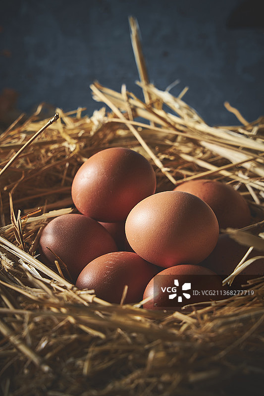 谷仓里的棕色鸡蛋图片素材
