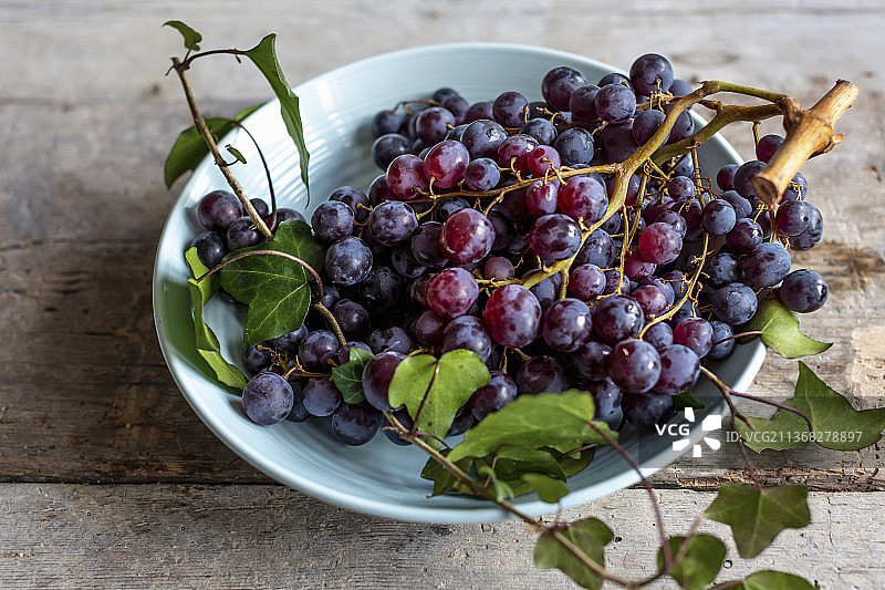 蓝色的葡萄图片素材