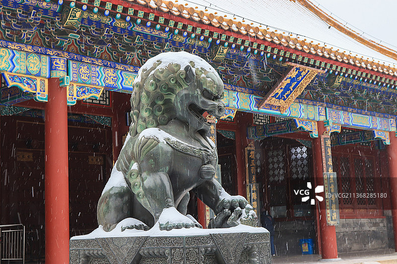 冬季颐和园之雪后排云殿石狮子图片素材