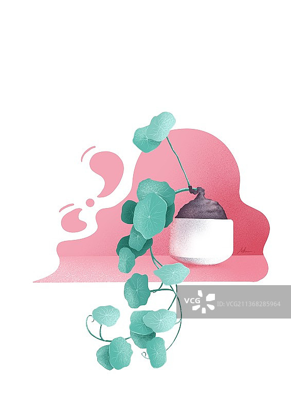 盆栽绿植图片素材