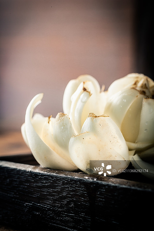 新鲜食用百合像花儿一样图片素材