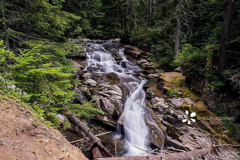 雷尼尔山国家公园疯帽瀑布，美国华盛顿州森林瀑布风光图片素材