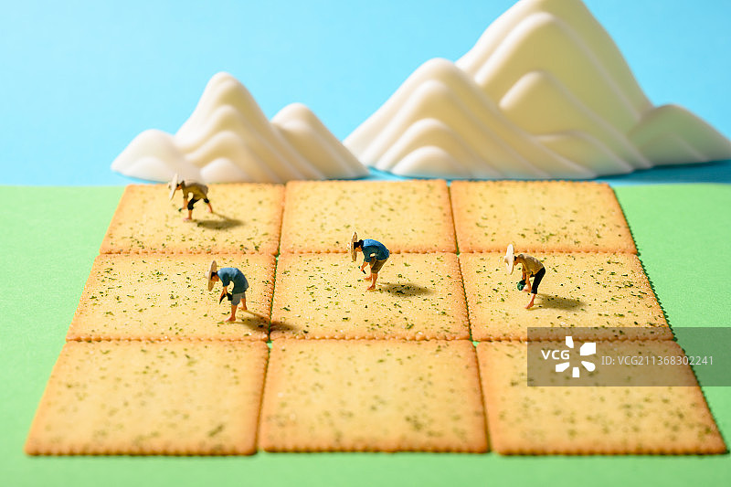 薄脆饼干创意-太阳下农民在地里农忙场景图片素材