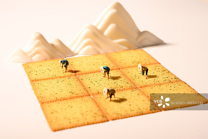 薄脆饼干创意-太阳下农民在地里农忙场景图片素材