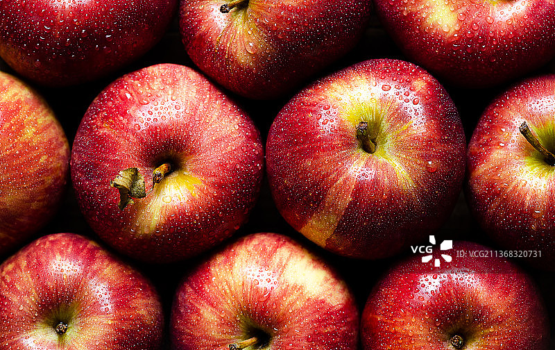 红苹果，阿根廷苹果特写镜头图片素材