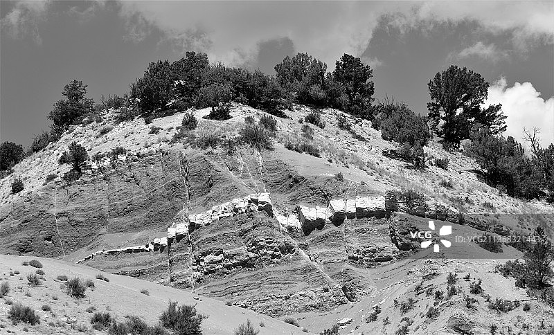 美国犹他州普莱斯市的树木景观全景图片素材