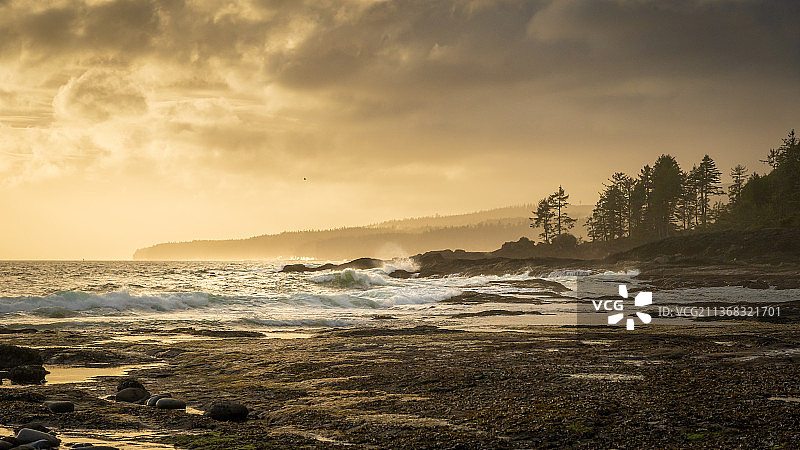 加拿大不列颠哥伦比亚省伦弗鲁港植物海滩日落海景图片素材