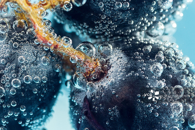 水中带气泡的黑色葡萄特写，多汁的夏日图片素材