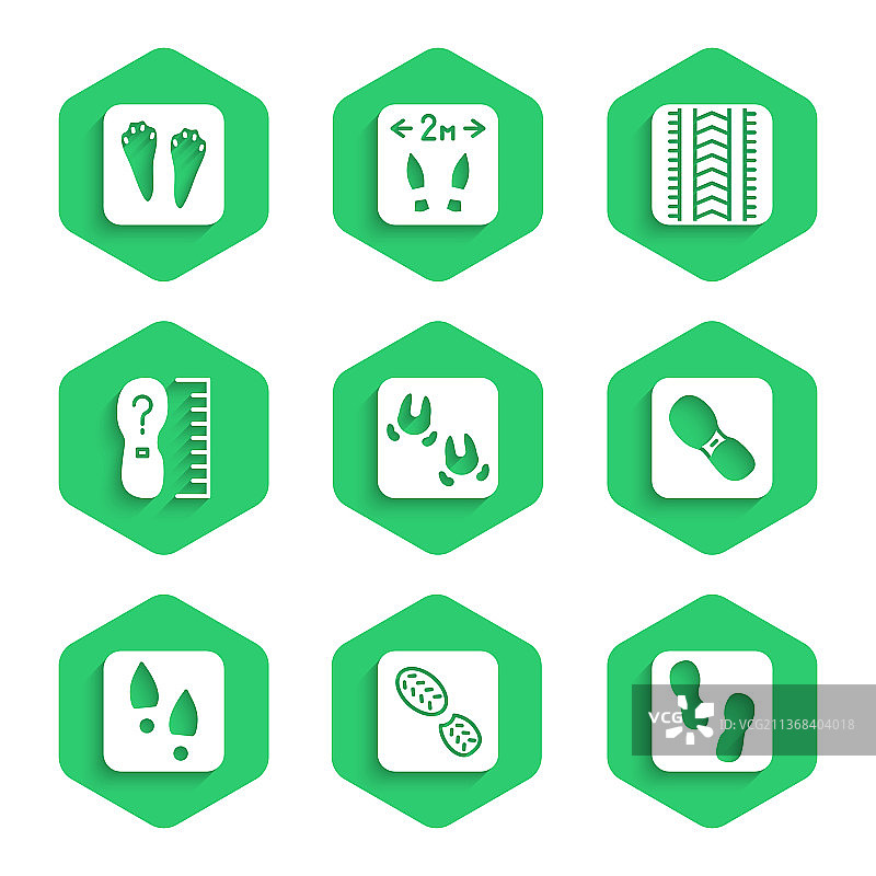 野猪爪印和人类脚印图片素材