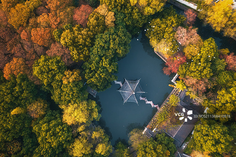 秋天一群白鸽飞过苏州西园寺西花园湖中亭上空图片素材