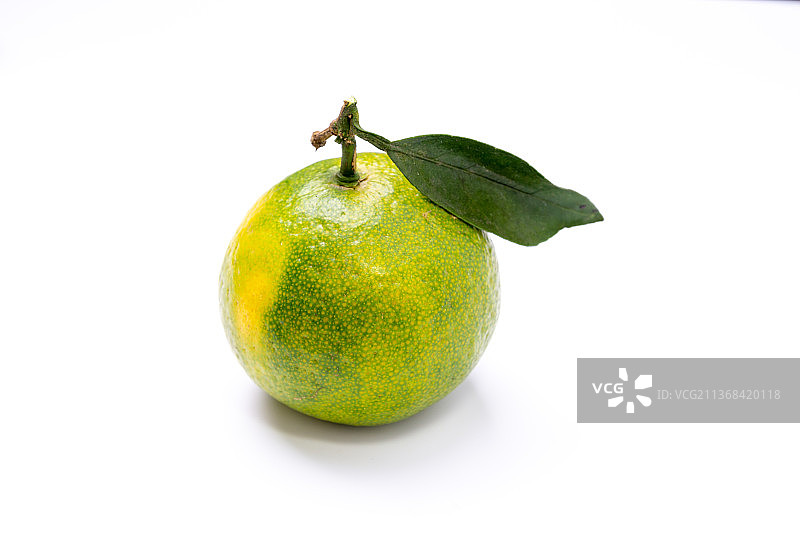 新鲜的橘子水果图片素材