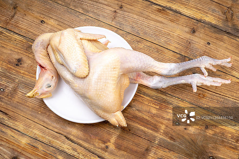 整只三黄鸡图片素材