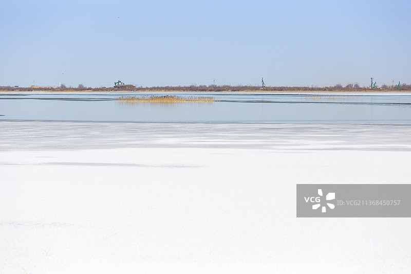 黄河入海口新生湿地图片素材