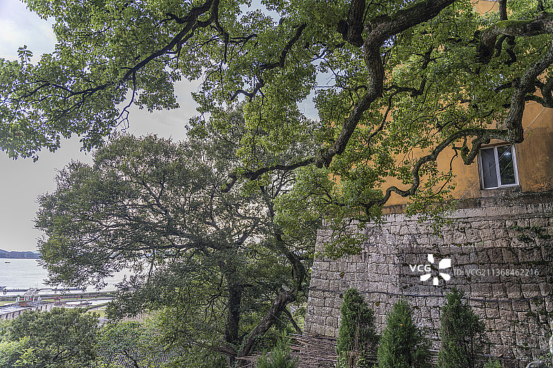 浙江普陀山观音古洞建筑风景图片素材