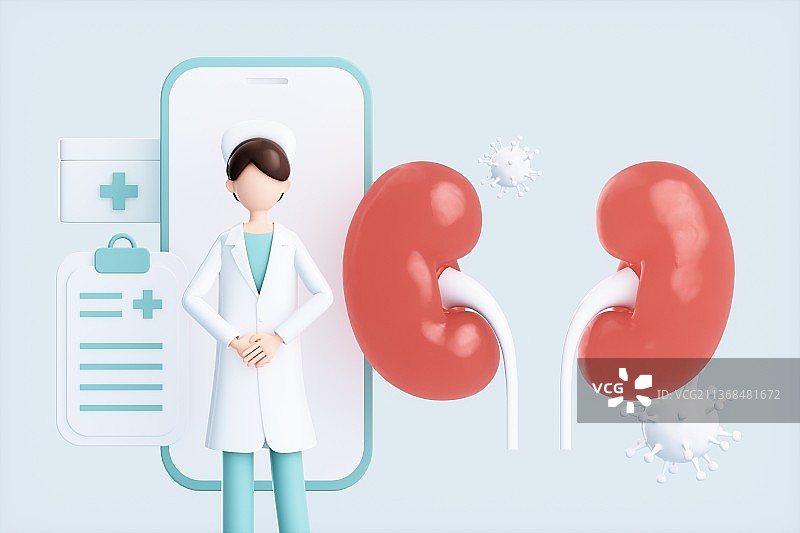 3D渲染的人体肾部结构图片素材