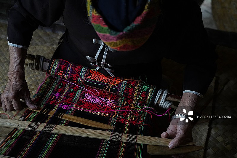 “活化石”黎锦图片素材