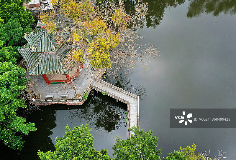 广东省东莞市石龙镇中山公园航拍图片素材