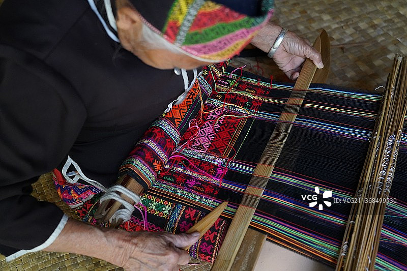 “活化石”黎锦图片素材