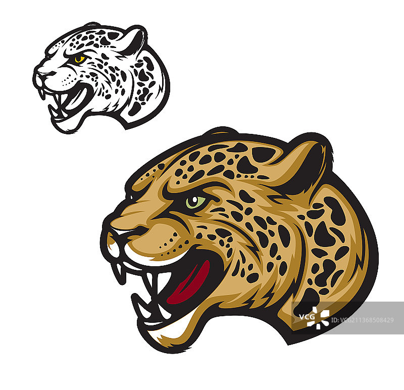 愤怒的捷豹或豹卡通动物吉祥物图片素材