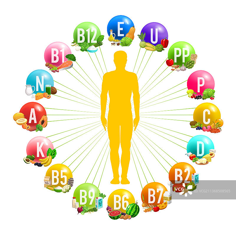 人体维生素圆形信息图图片素材