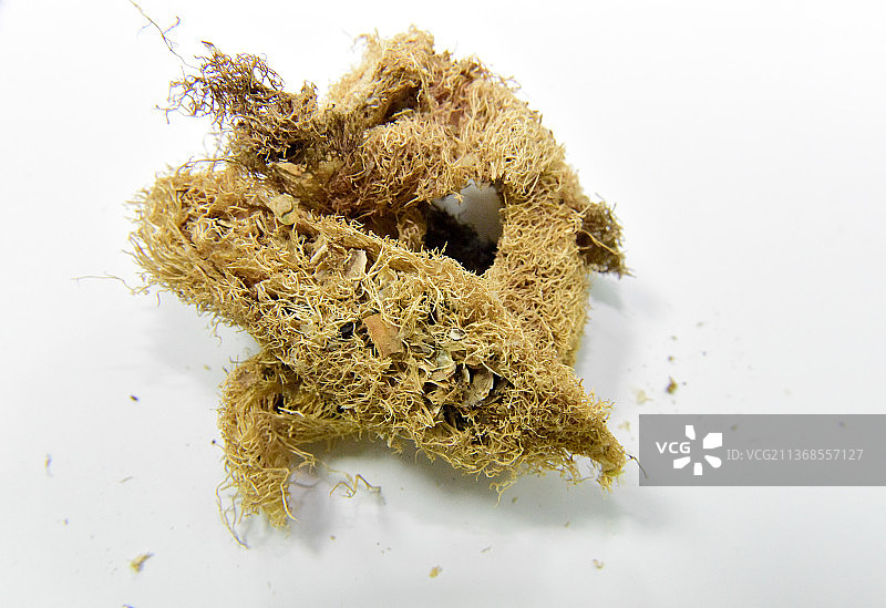 中药材丝瓜烙图片素材