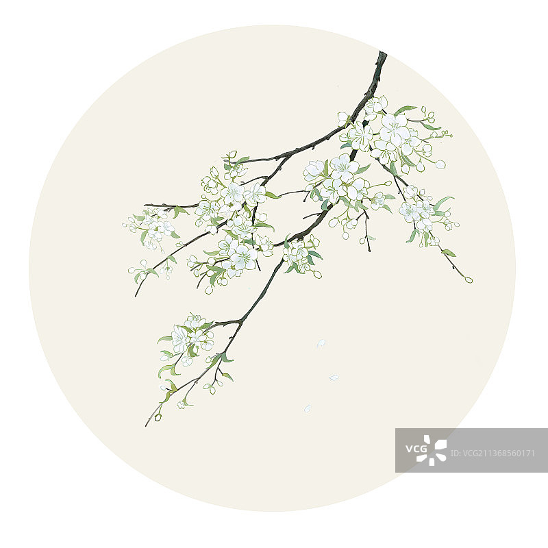 古风水彩花卉杏花图片素材
