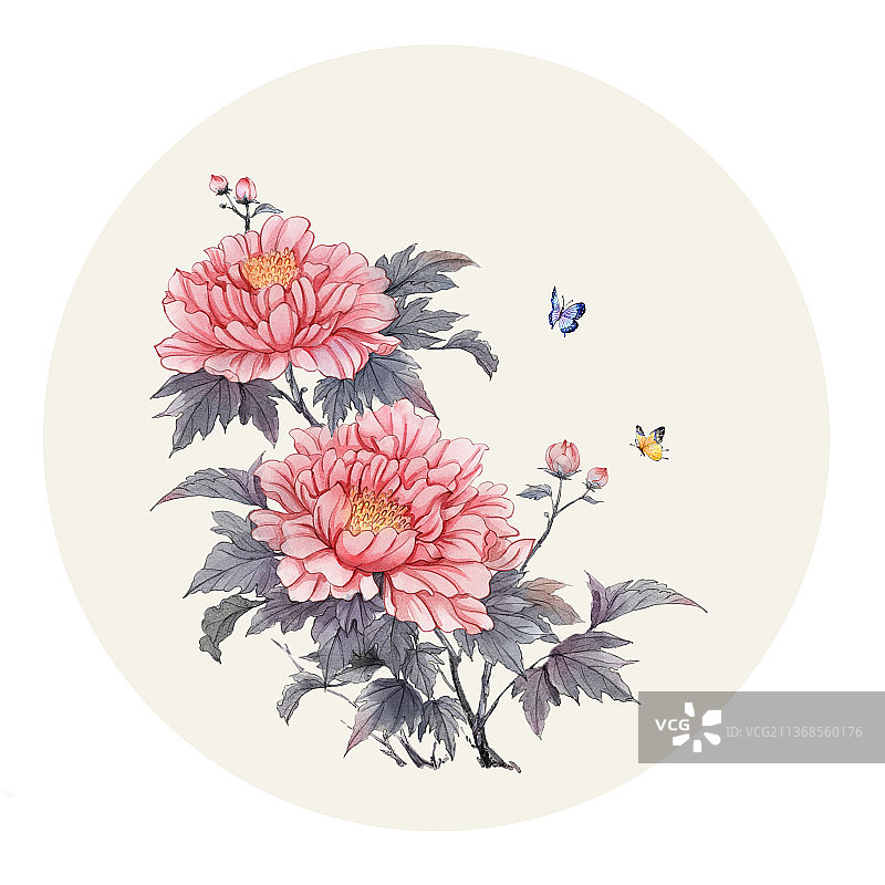 古风水彩花卉芙蓉花图片素材
