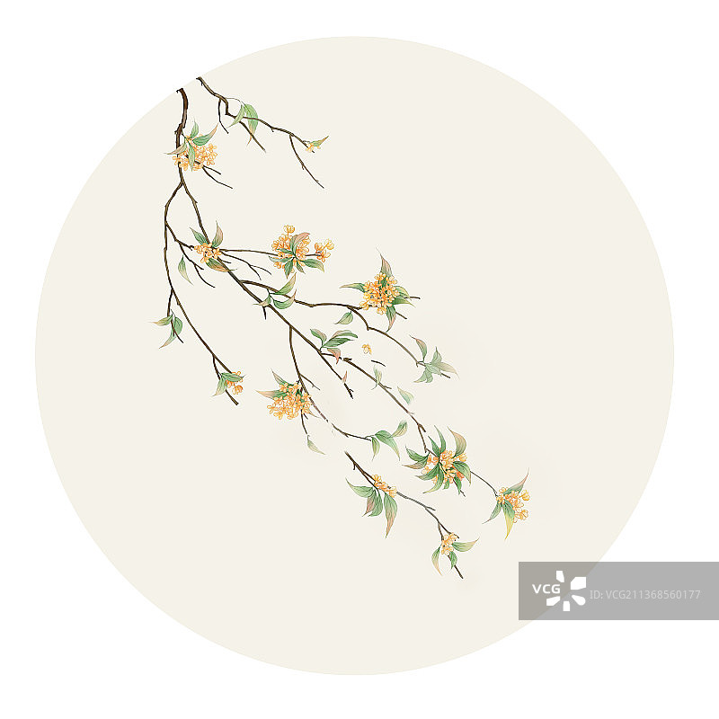 古风水彩花卉桂花图片素材