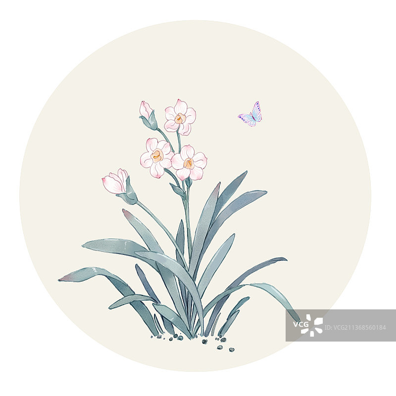 古风水彩花卉水仙花图片素材