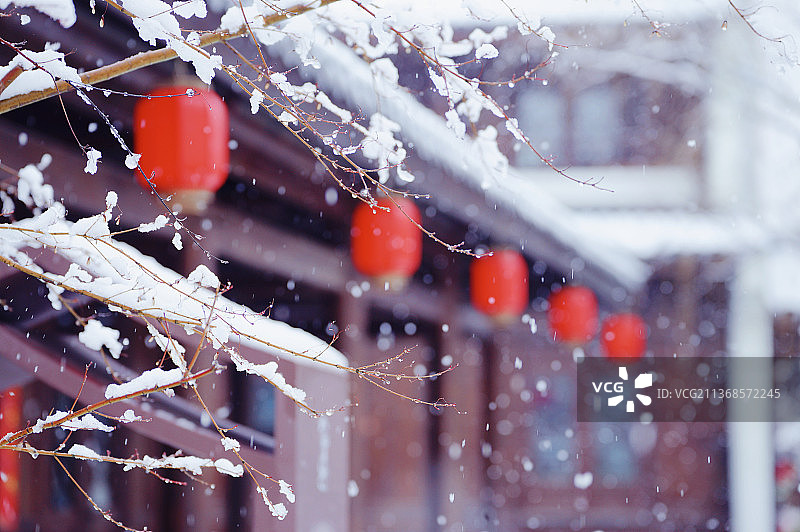 瑞雪兆丰年，南方也有这样的雪图片素材