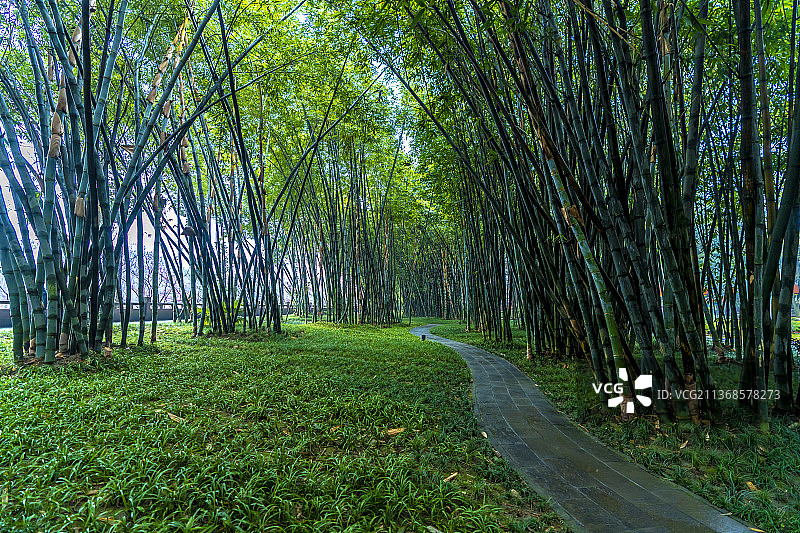 竹林 天空 绿地 河边 岸边 倒影 草地 树林 小船 茅屋 竹桥 公园 小路 长椅 雨 倒影 灯笼图片素材