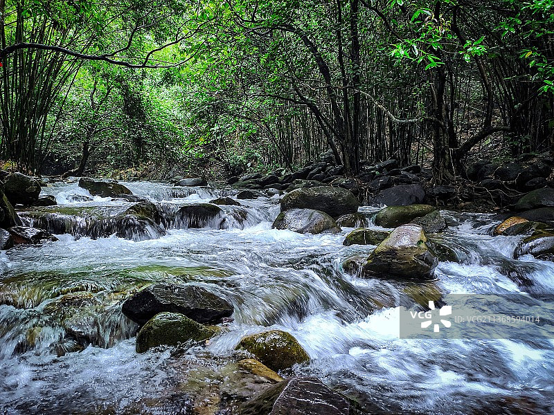 林间溪流穿石景观图片素材