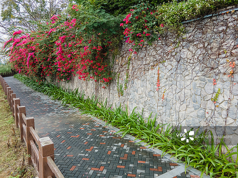 公园里的人行小径图片素材