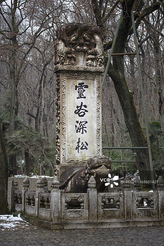 灵谷深松图片素材