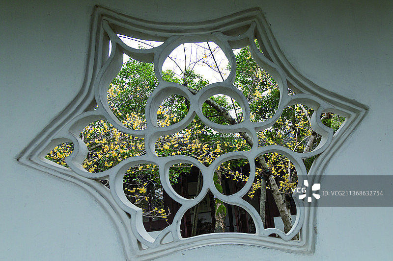 园林漏窗赏蜡梅别有风味图片素材