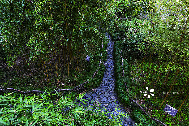 江苏苏州沧浪亭竹林自然风光图片素材