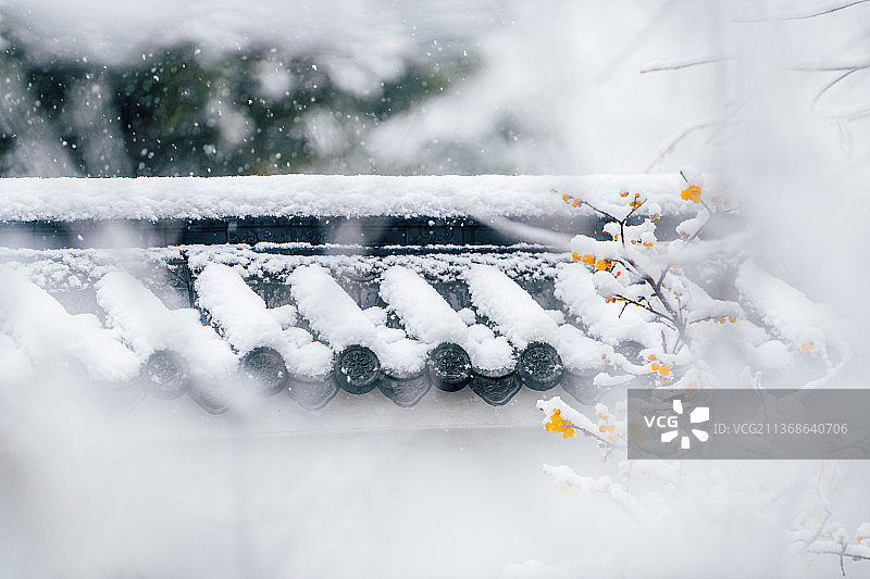 雪中的传统建筑屋顶与腊梅图片素材
