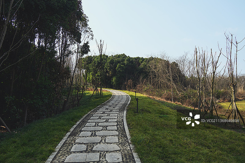 成都青龙湖湿地公园步道图片素材