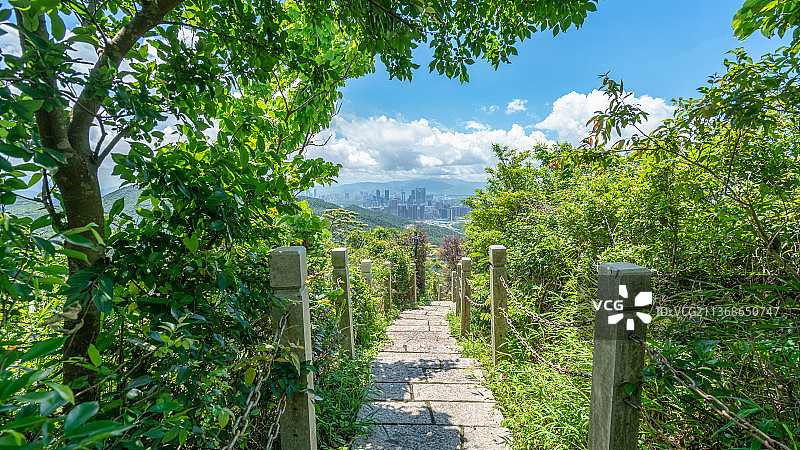 深圳南山区塘朗山公园城市景观图片素材