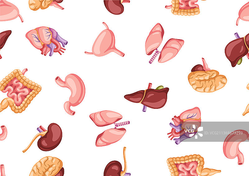 人体内脏器官无缝图案图片素材