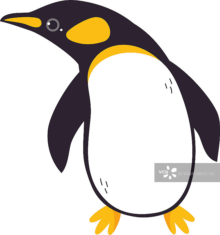 有趣的企鹅作为不会飞的水鸟图片素材