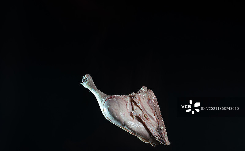 黑色背景跳动的鸭腿广告素材图片素材