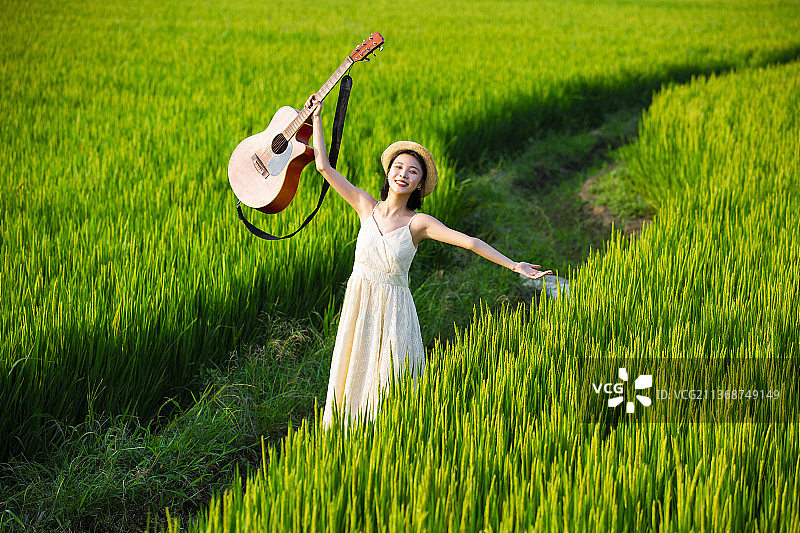 年轻女子拿着吉他走在稻田里图片素材